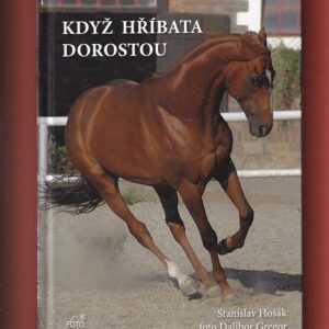 když hříbata dorostou